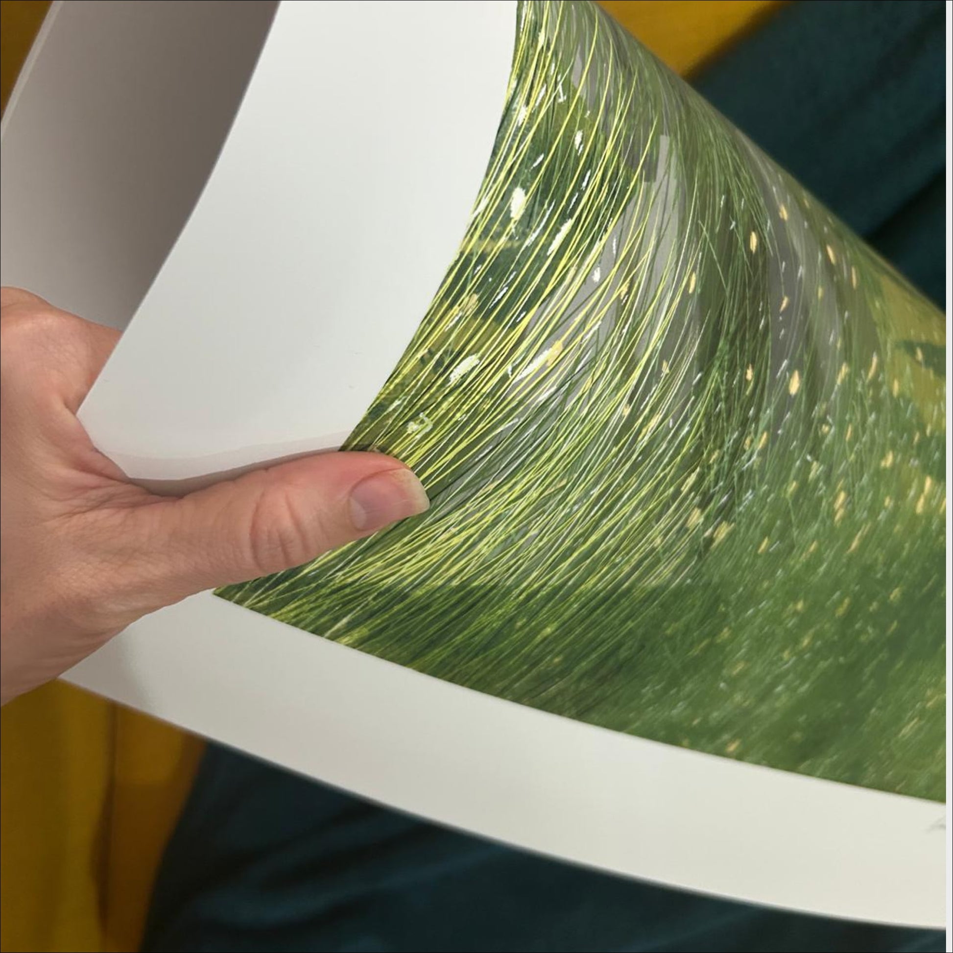 Hand holding Open Field art print showing detailed grass illustration on premium matte paper, OAM Studio