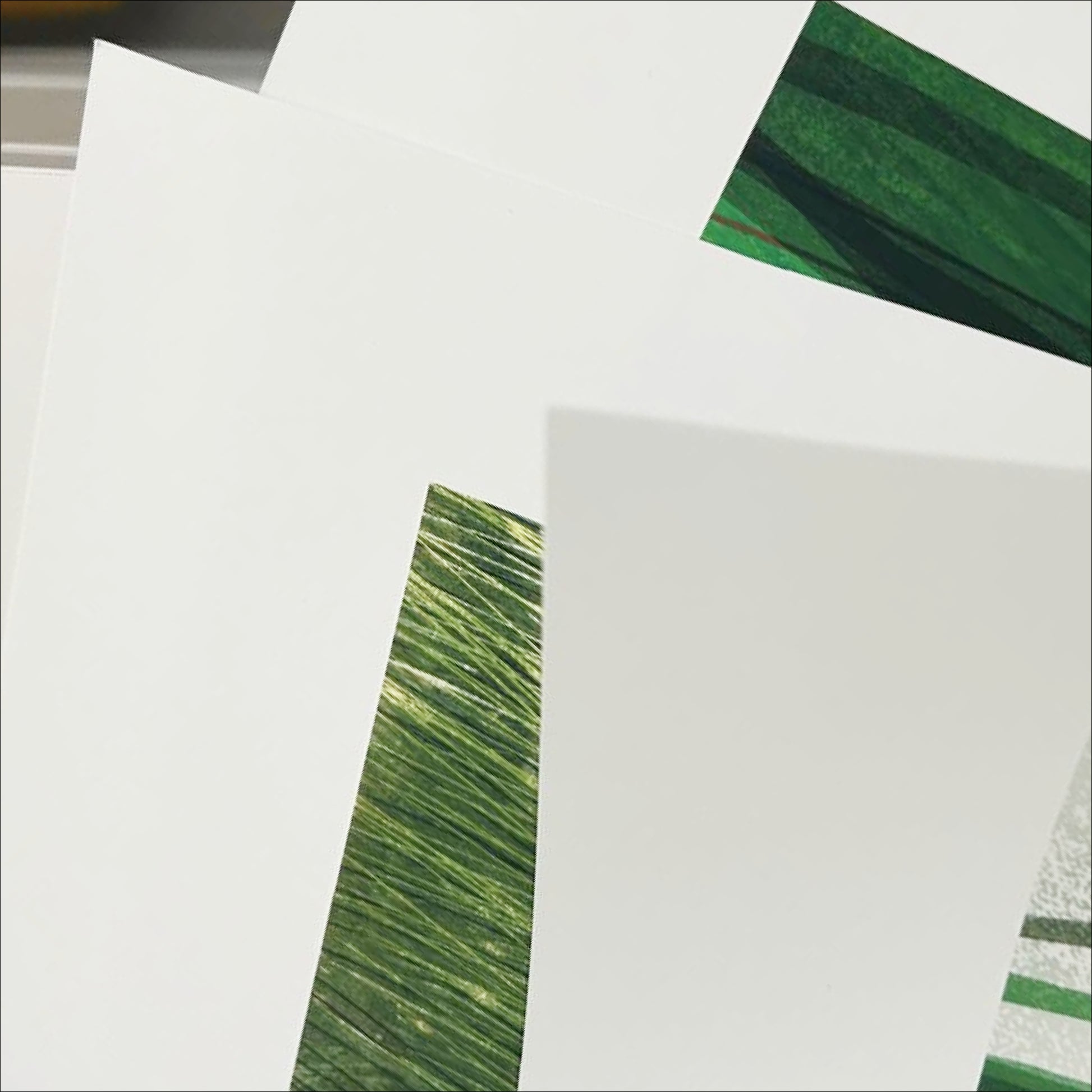 Multiple Quiet Meadow prints fanned out showing paper quality and print detail, OAM Studio