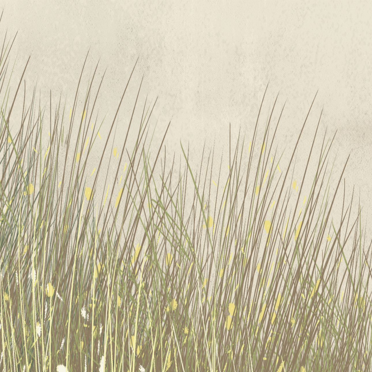 Illustration of tall grass with a neutral background created by oam studio